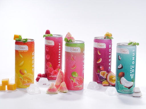 [13881] Elaiya Mix Juice 24 x 250 ml 